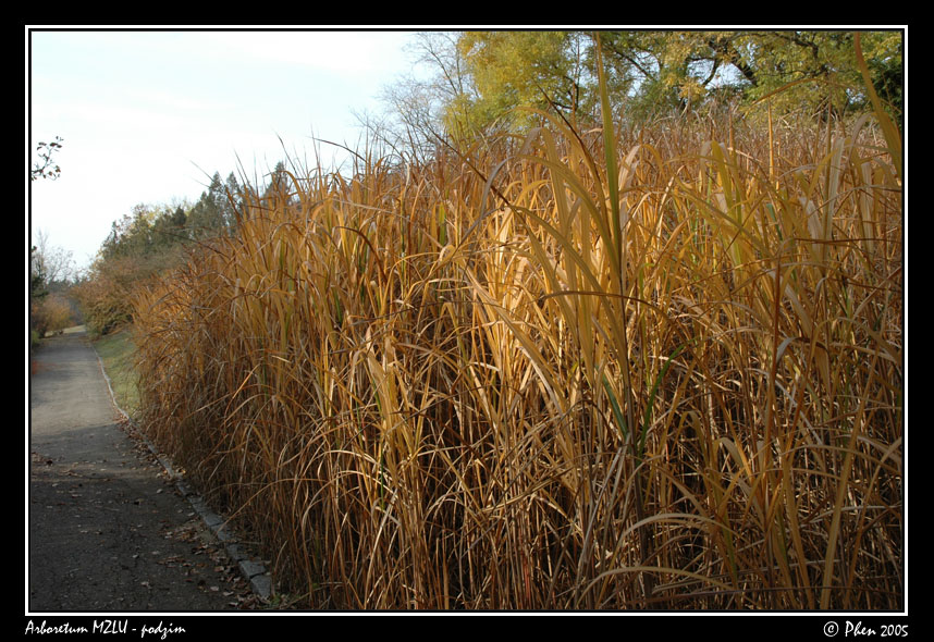 Arboretum_podzim_005.jpg