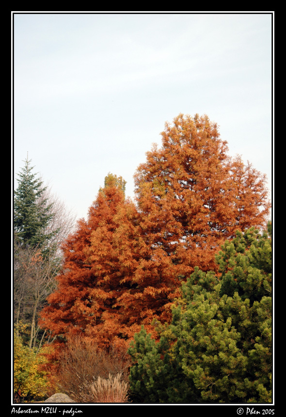 Arboretum_podzim_013.jpg