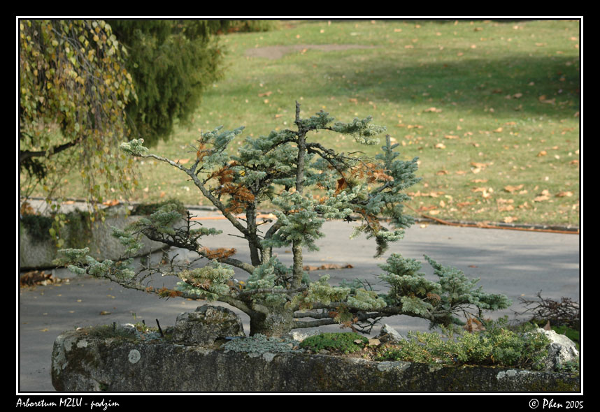 Arboretum_podzim_027.jpg
