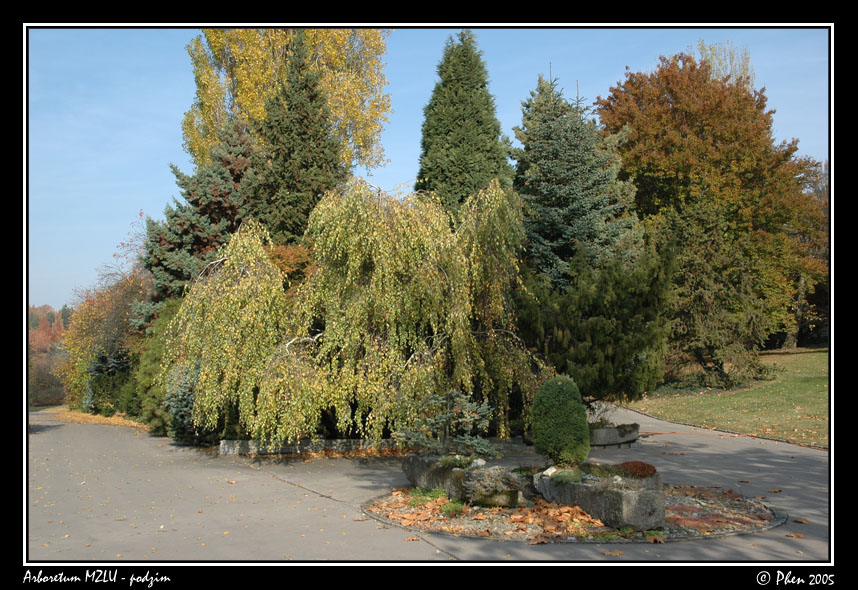 Arboretum_podzim_030.jpg