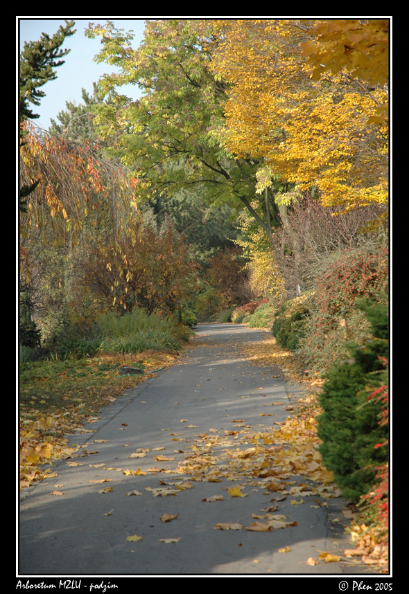 Arboretum_podzim_037.jpg