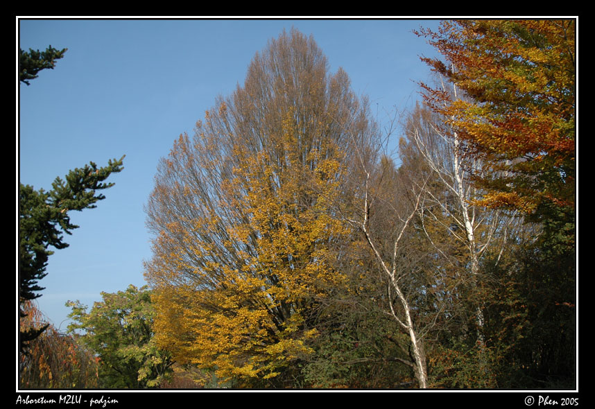Arboretum_podzim_038.jpg