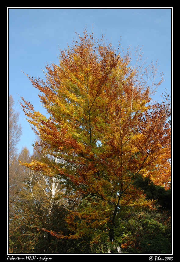 Arboretum_podzim_039.jpg