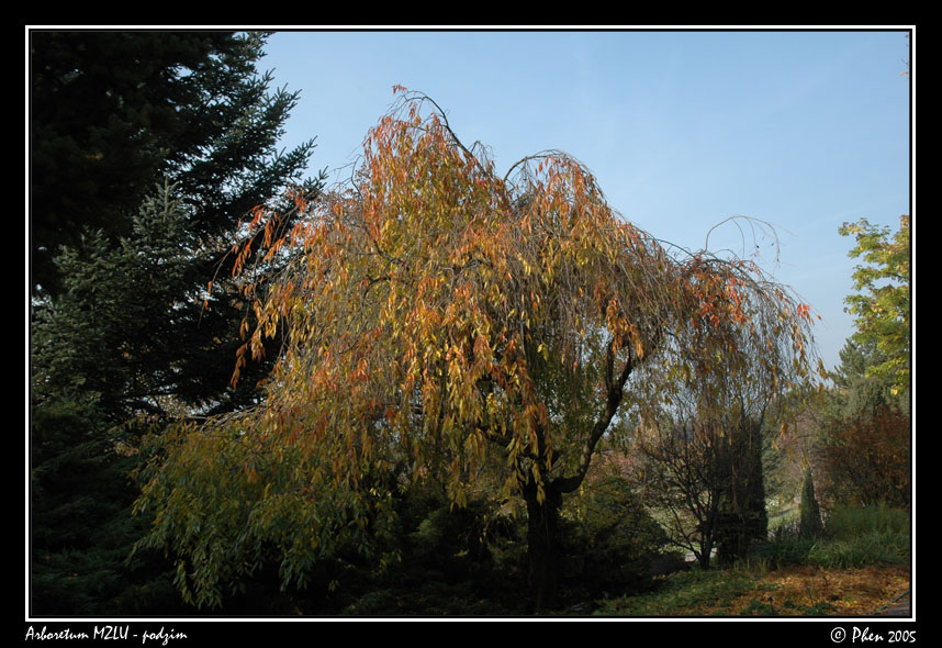 Arboretum_podzim_040.jpg