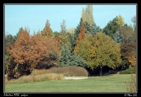 Arboretum_podzim_026.jpg