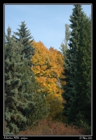 Arboretum_podzim_028.jpg