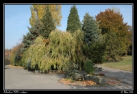 Arboretum_podzim_030.jpg