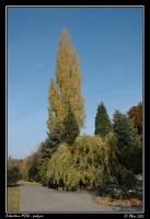 Arboretum_podzim_031.jpg