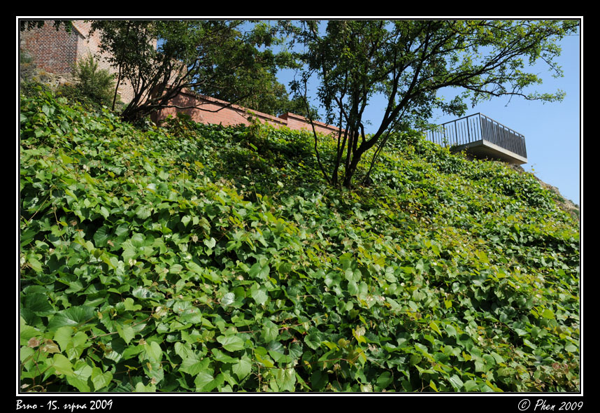 Brno_15082009_010.jpg
