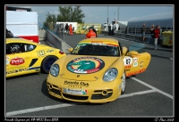Cayman_Brno_08_001.jpg