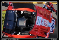FIA_GT_2008_031.jpg