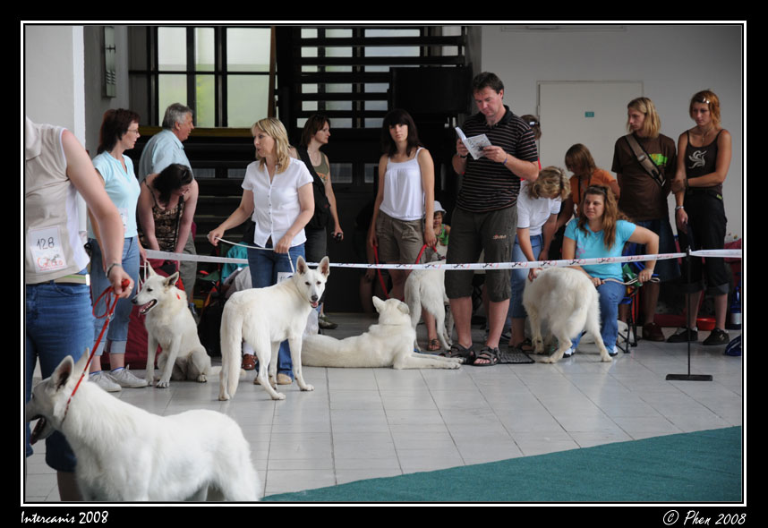 Intercanis_08_006.jpg
