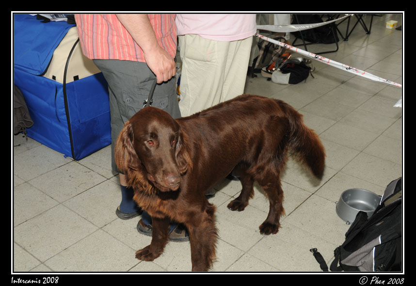 Intercanis_08_010.jpg