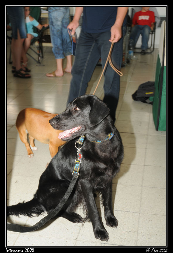 Intercanis_08_013.jpg