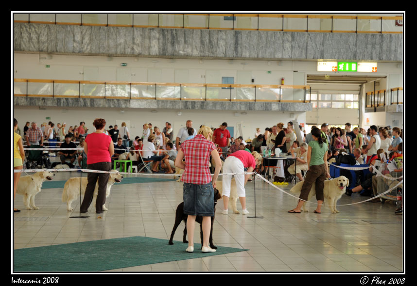 Intercanis_08_032.jpg