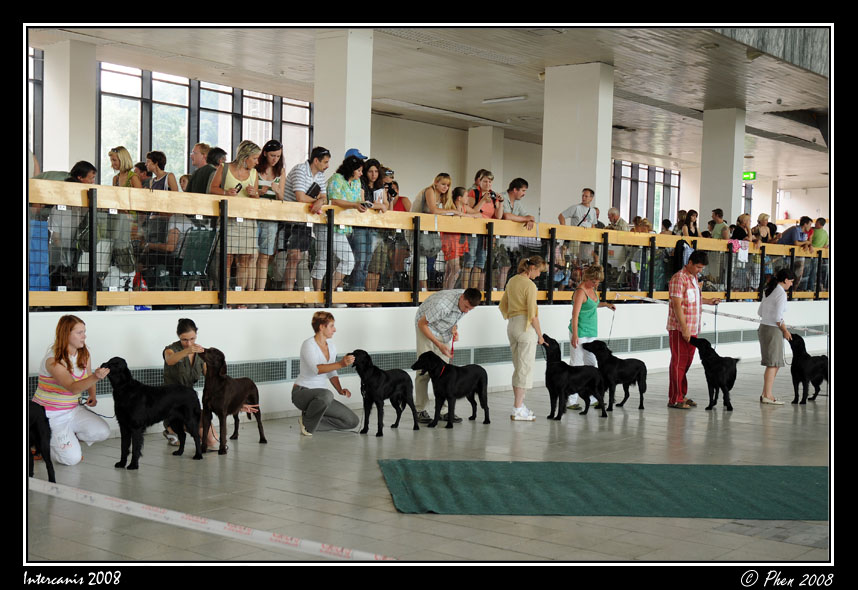 Intercanis_08_034.jpg