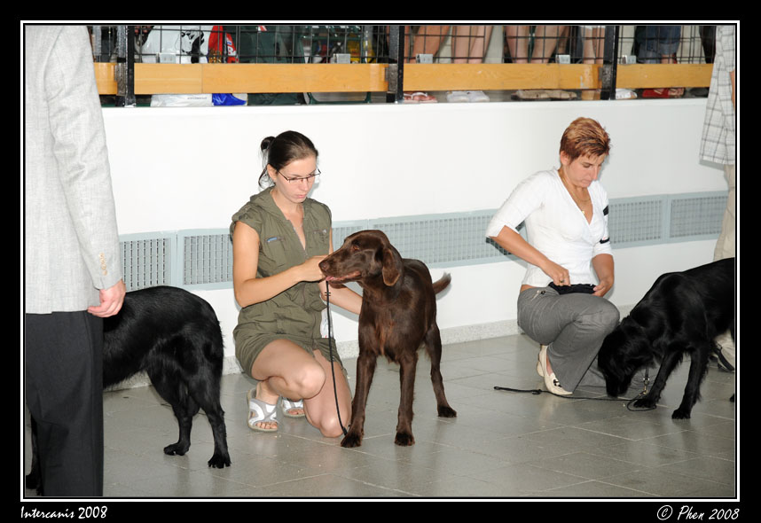 Intercanis_08_035.jpg