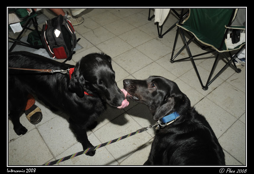 Intercanis_08_046.jpg