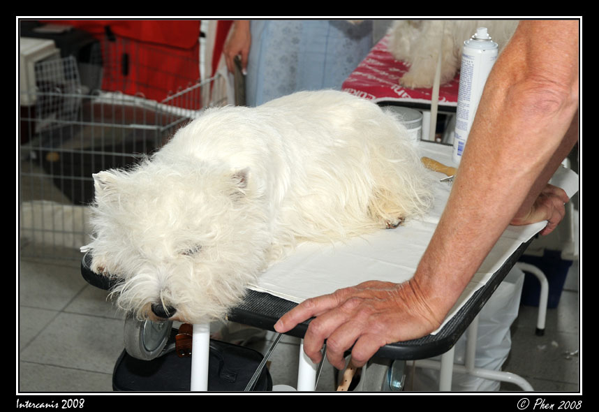 Intercanis_08_048.jpg