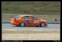 Octavia_WTCC_07_006.jpg