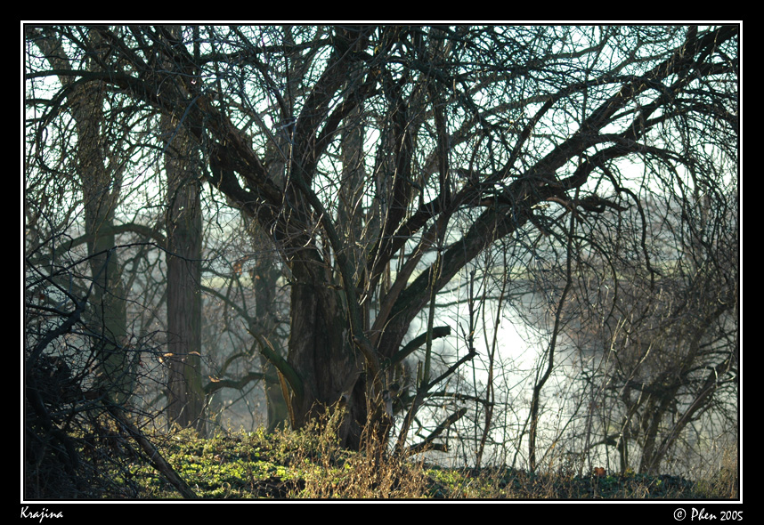 Krajina_004.jpg