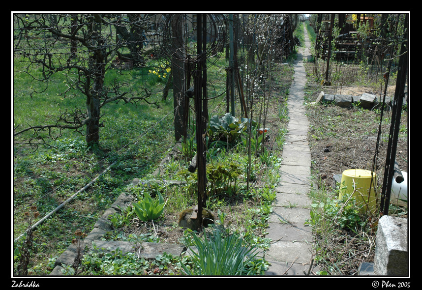 Zahradka_003.jpg
