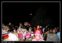 Advent_2008_Strom_022.jpg