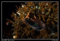 Advent_2008_Strom_041.jpg