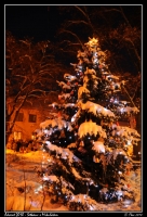 Advent_2010_Mikulas_001.jpg