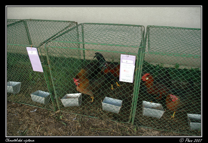 Chovatele_07_007.jpg