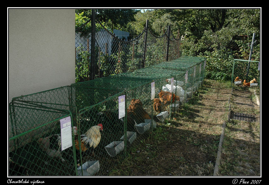 Chovatele_07_008.jpg