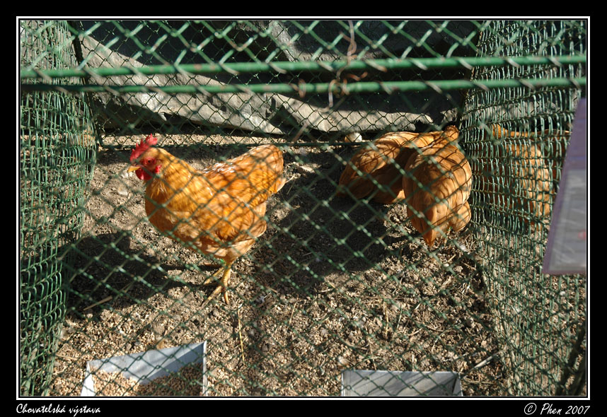 Chovatele_07_015.jpg