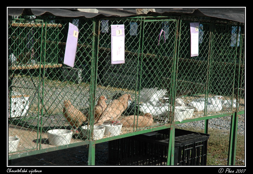 Chovatele_07_047.jpg