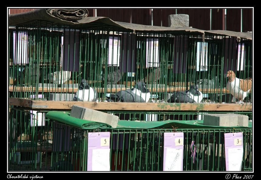 Chovatele_07_050.jpg