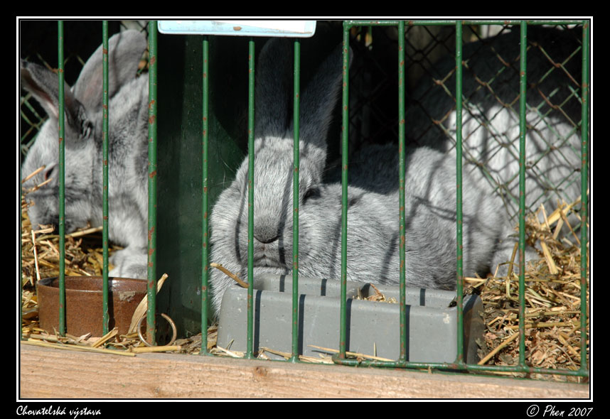 Chovatele_07_059.jpg