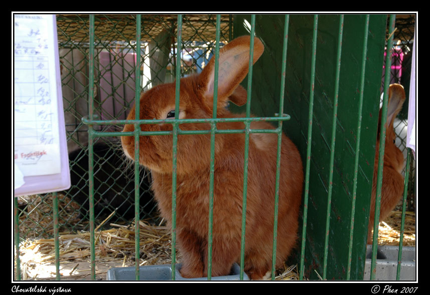 Chovatele_07_065.jpg