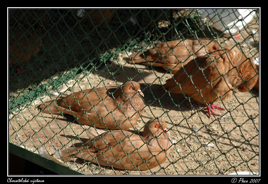 Chovatele_07_079.jpg