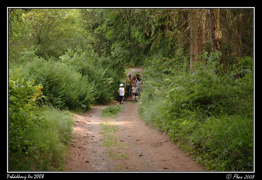 Pohadkovy_les_08_275.jpg